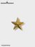 કોલર પી એસ-સીપી-એસજી-યુડબ્લ્યુ-પિન-૧૬૭-સ્ટાર