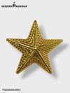 કલર પિન B-CP-SG-UW-PIN-166-STAR