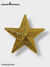 COLLOR PIN B-CP-SG-UW-PIN-166-STAR
